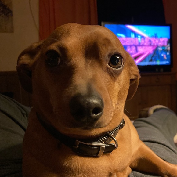 Meet your Posher, Sarah - Picture 2 of 3